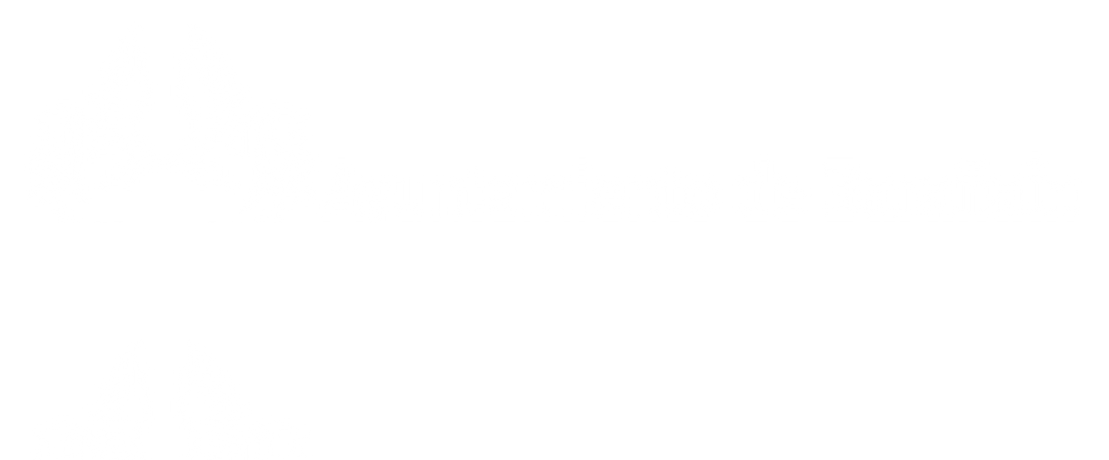 Ayuntamiento_Baranain_logo_blanco_transparente (1)