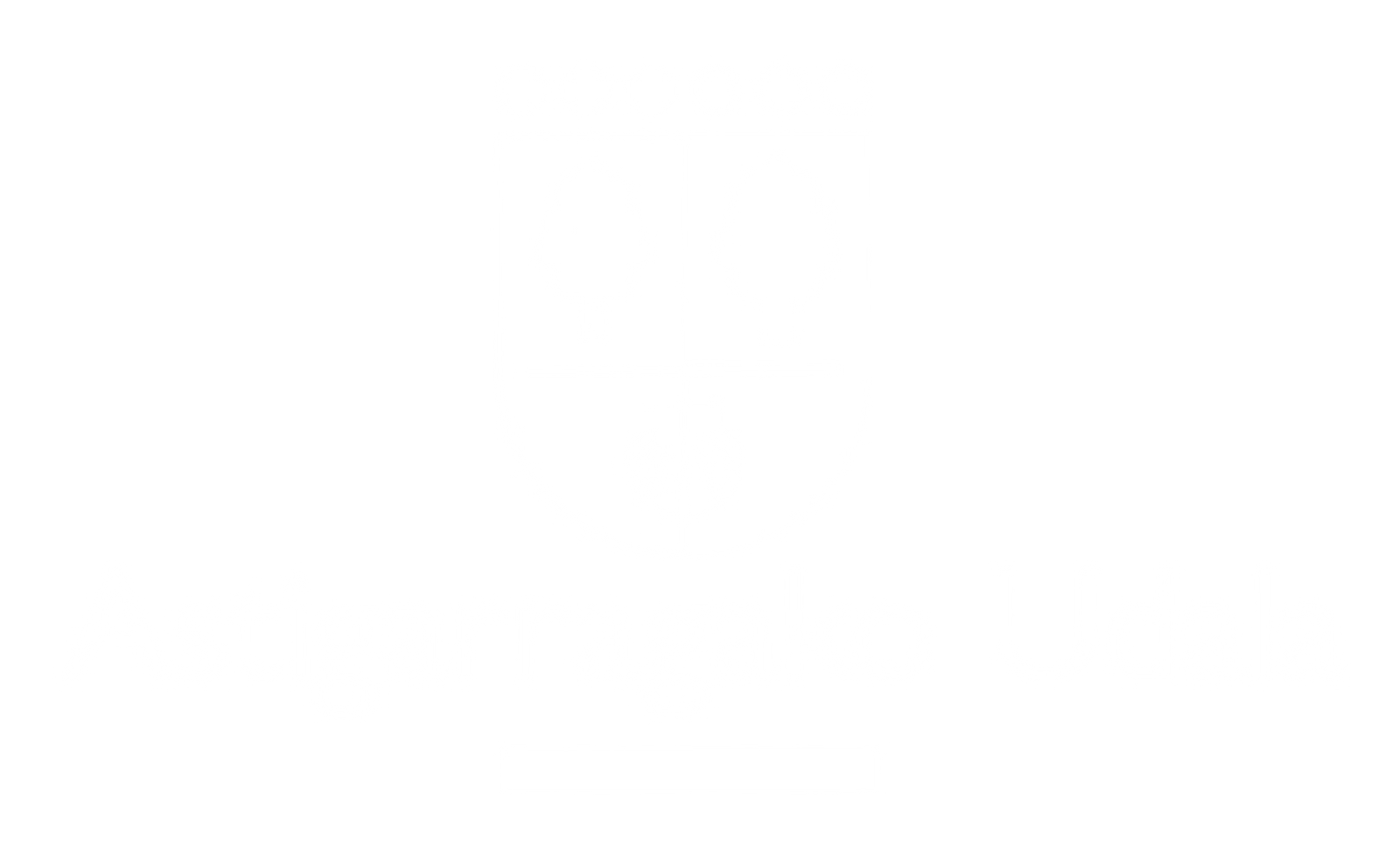 astigarragako-udala-logo-blanco-transparente-hd