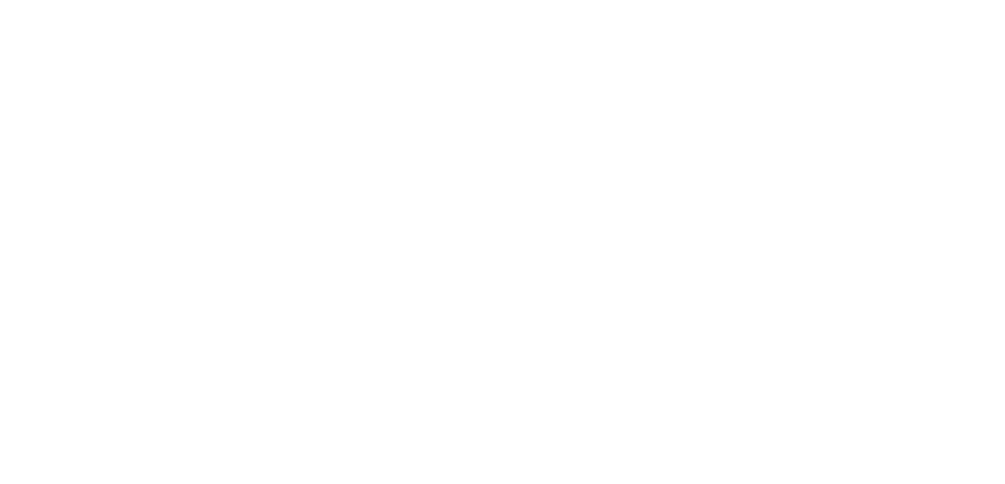 beasaingo-udala-monokromo