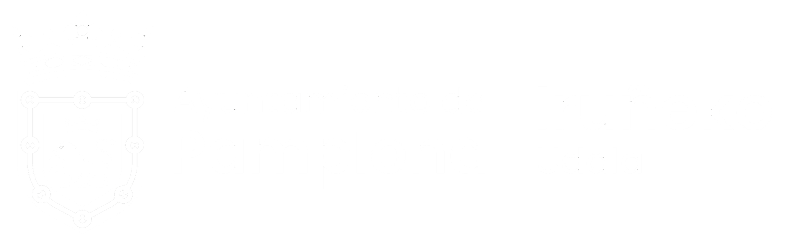 pamplonca ayto